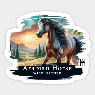 Arabian Horse - WILD NATURE - HORSE -12 Sticker